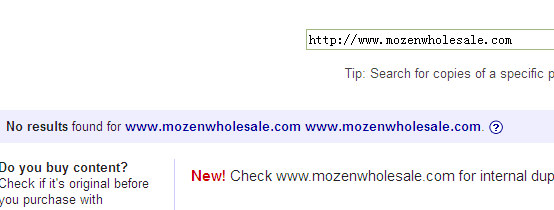 google seo service 4.png