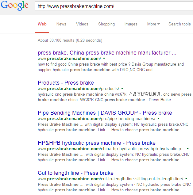 domain search (1).png